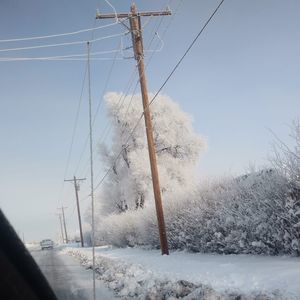 Meet your Posher, Francisco